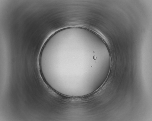 X0000111891291200907231440