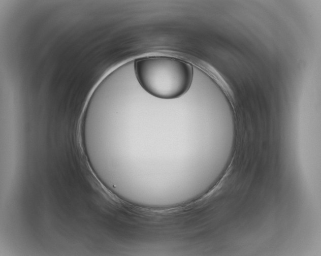 X0000111891292200907231440