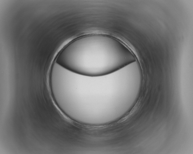 X0000111891293200907231440