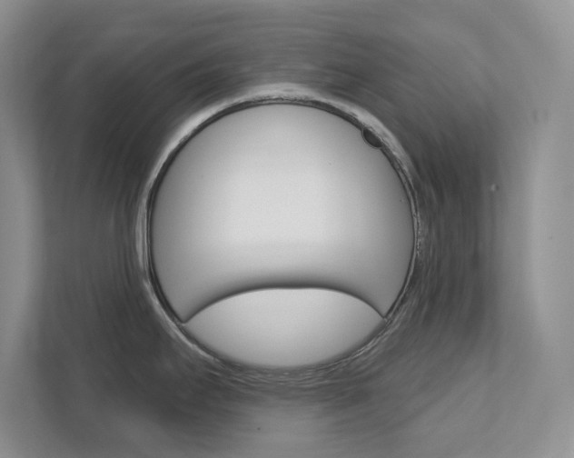 X0000111891295200907231440