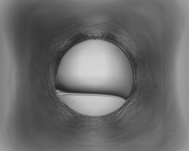 X0000111891297200907231439