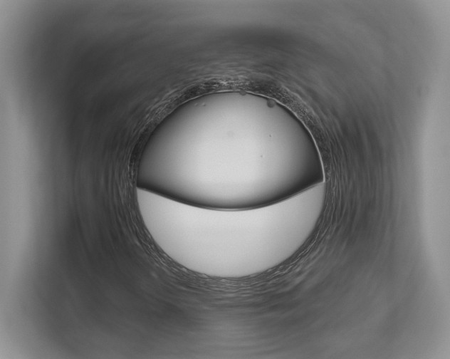 X0000111891298200907231439
