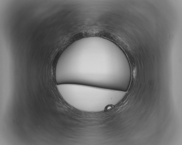 X0000111891299200907231439