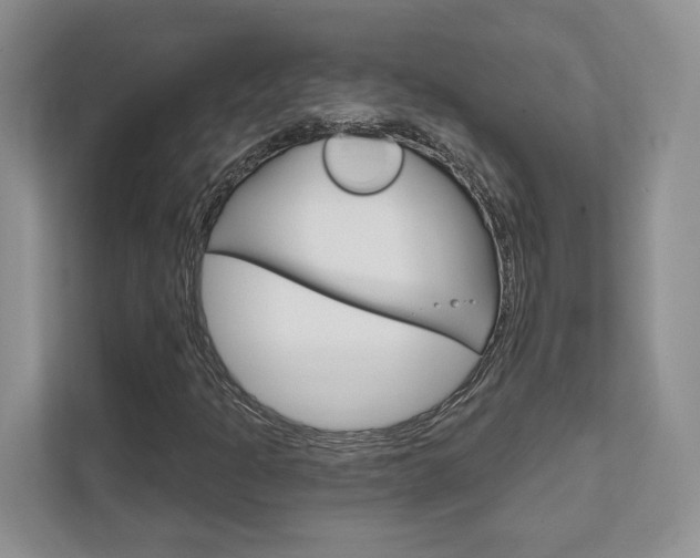 X0000111891301200907231439