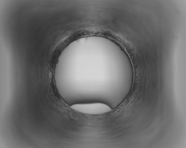 X0000111891302200907231439