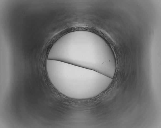 X0000111891303200907231439