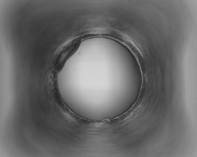 X0000111891304200907231439