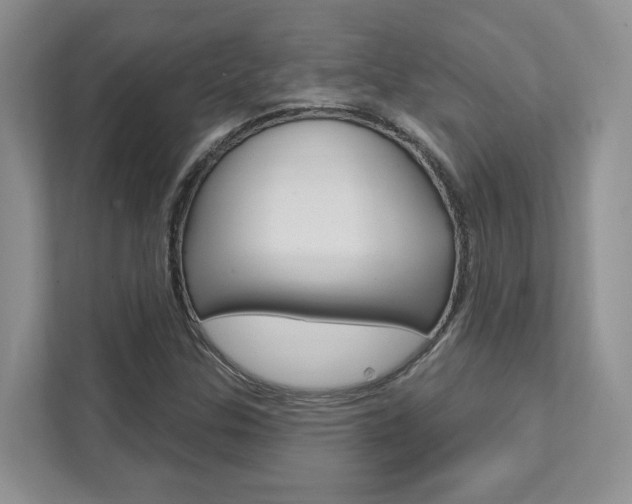 X0000111891307200907231439
