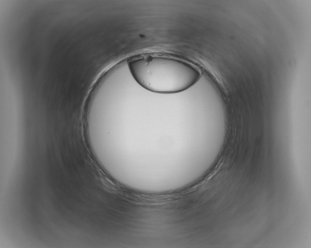 X0000111891308200907231439