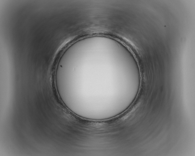 X0000111891309200907231439
