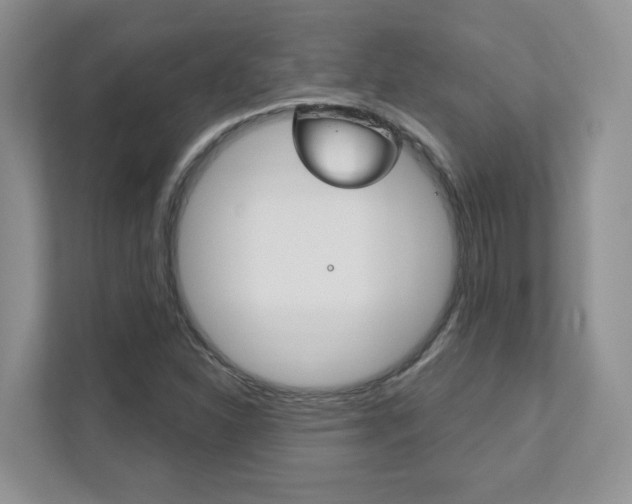 X0000111891310200907231439