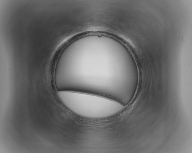 X0000111891311200907231439