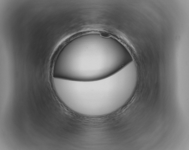 X0000111891312200907231439