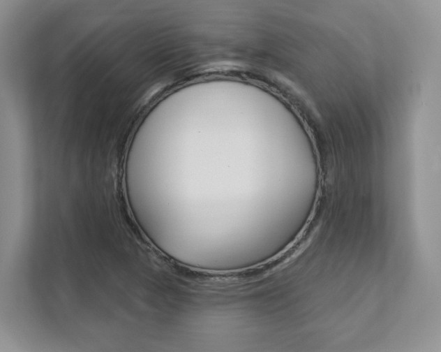 X0000111891313200907231439