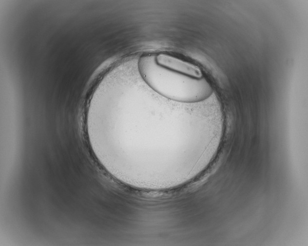 X0000111891314200907231439