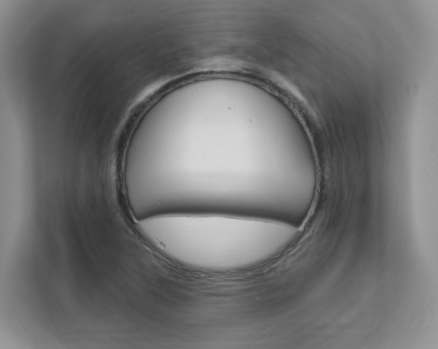 X0000111891315200907231439