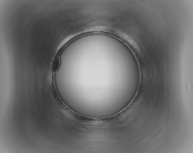 X0000111891316200907231439