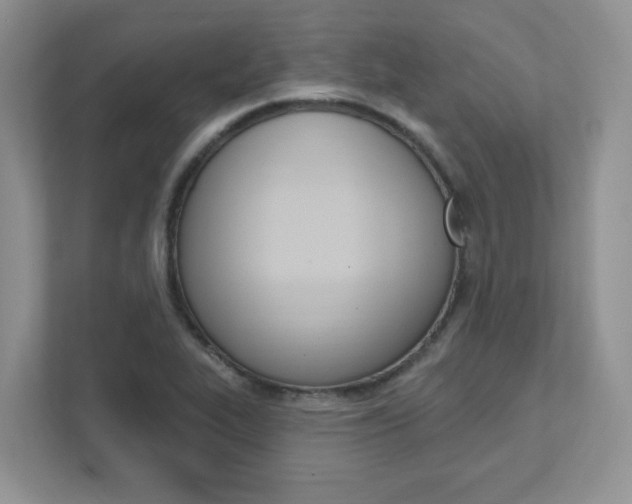 X0000111891319200907231439