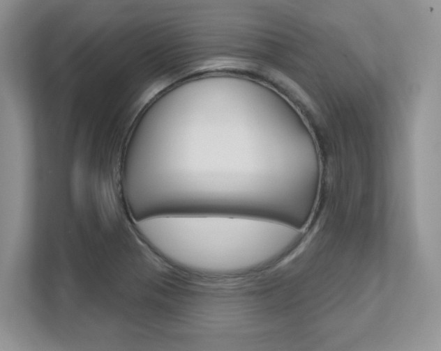 X0000111891321200907231439