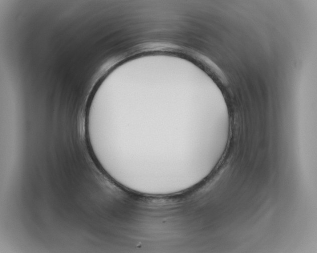 X0000111891322200907231439