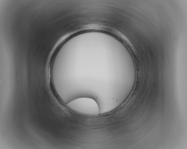 X0000111891323200907231439