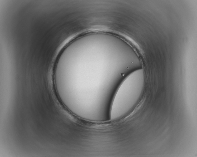 X0000111891325200907231439