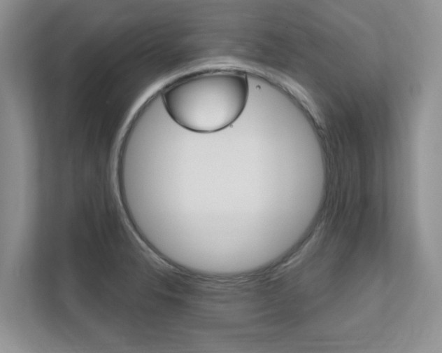 X0000111891326200907231439