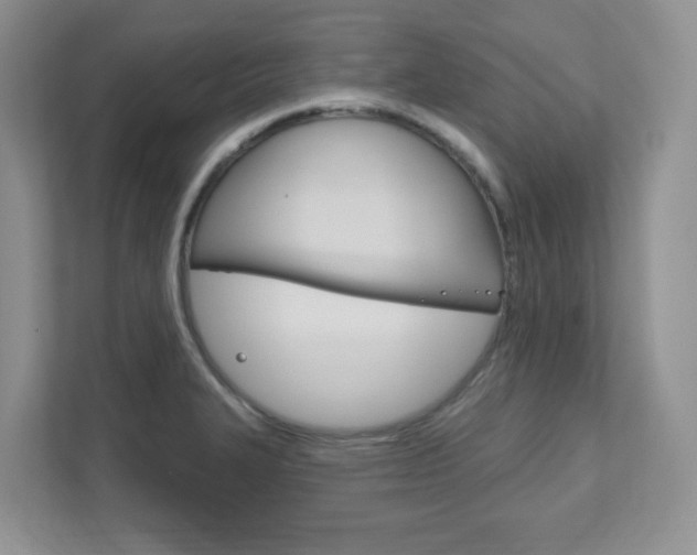 X0000111891327200907231439