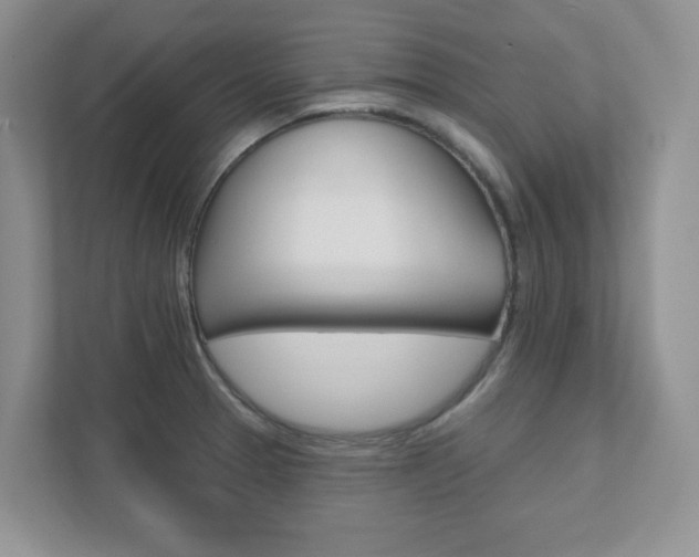 X0000111891329200907231439