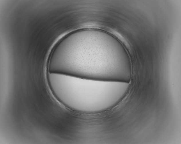 X0000111891331200907231439