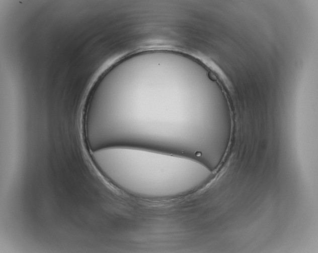 X0000111891333200907231439