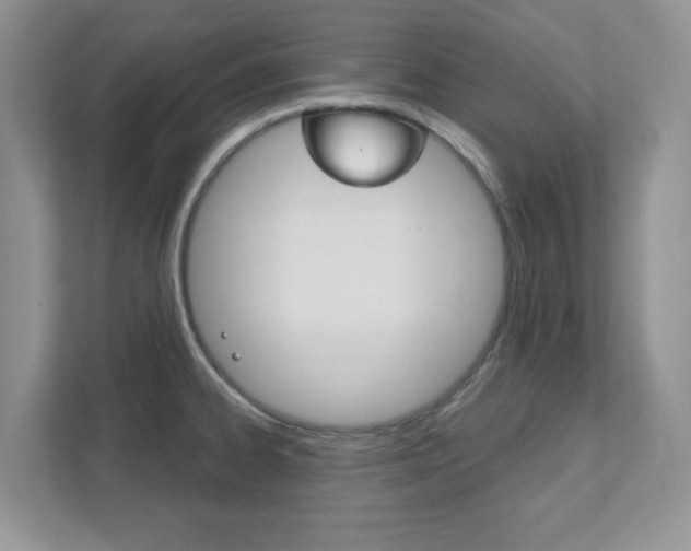 X0000111891334200907231439