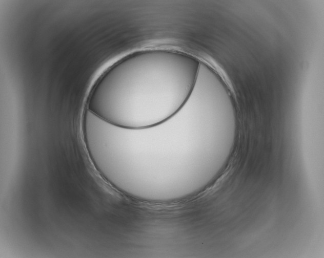 X0000111891336200907231439
