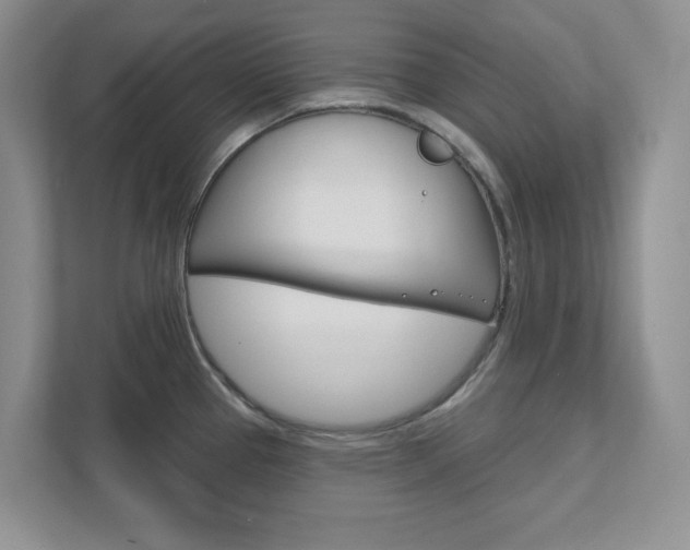 X0000111891337200907231439