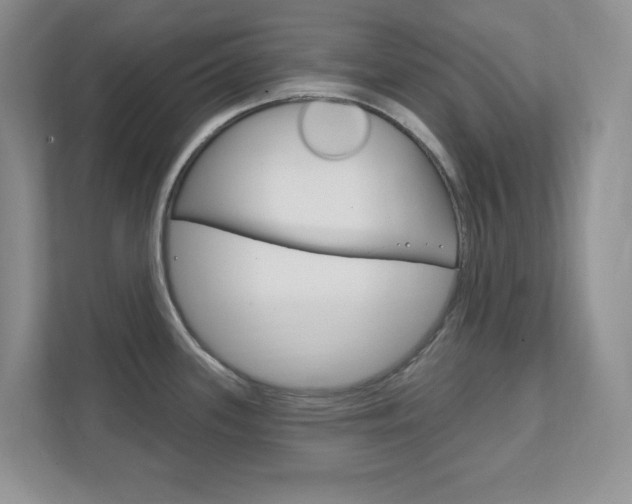 X0000111891339200907231439