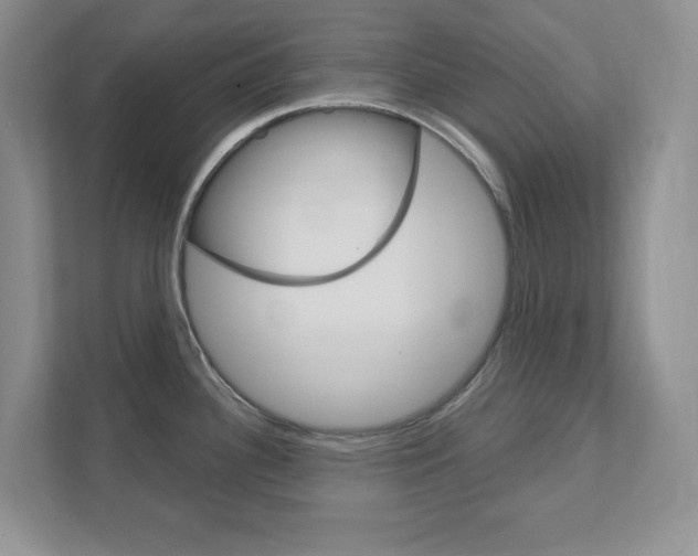 X0000111891340200907231439