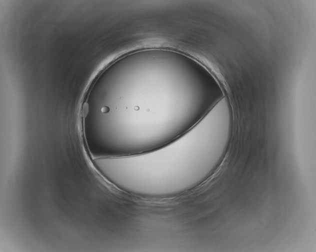 X0000111891342200907231439