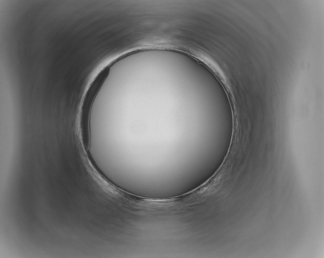 X0000111891344200907231439