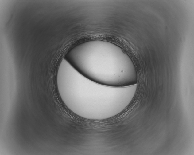 X0000111891345200907231439