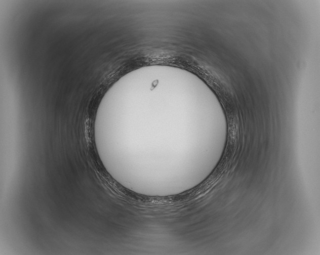 X0000111891346200907231439