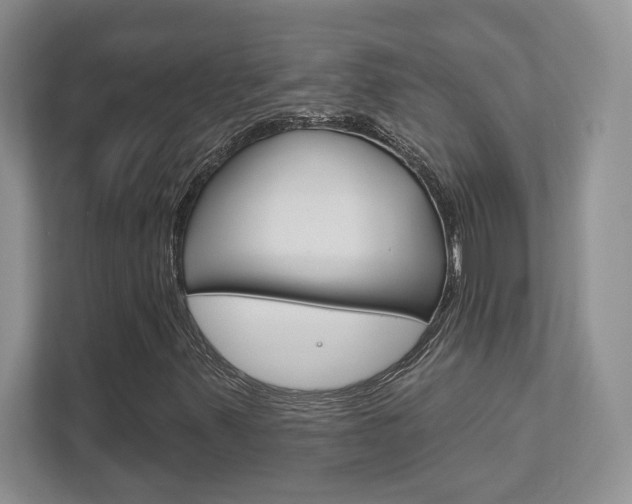 X0000111891347200907231439