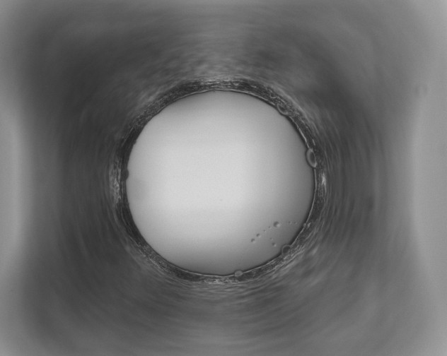 X0000111891348200907231439