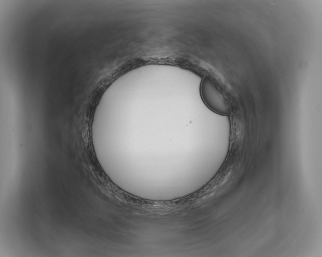 X0000111891350200907231439