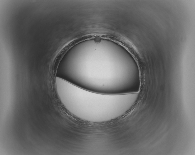 X0000111891352200907231439