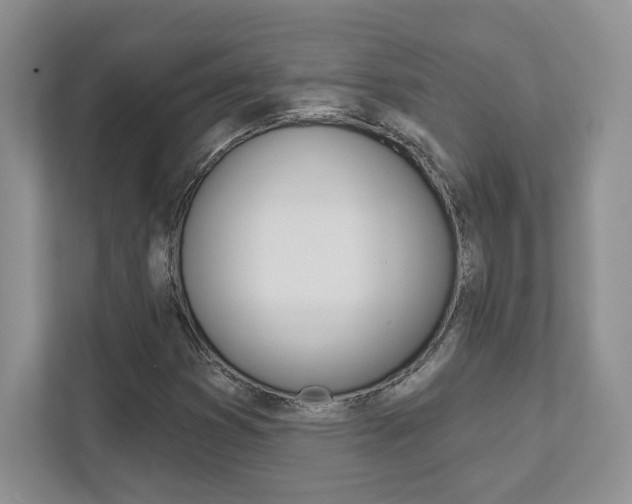 X0000111891353200907231439