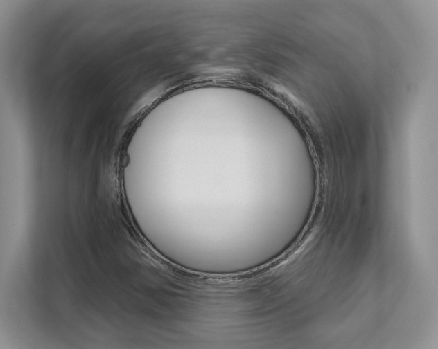 X0000111891354200907231439