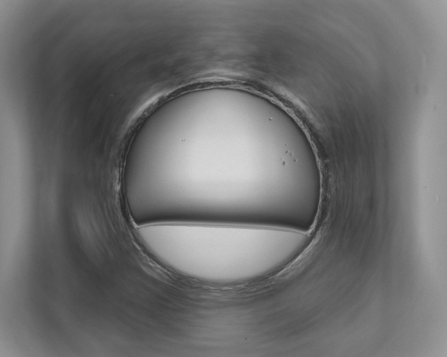 X0000111891355200907231439