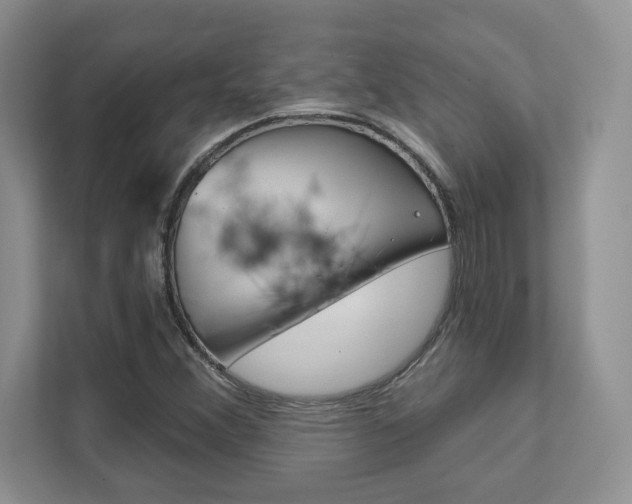 X0000111891356200907231439