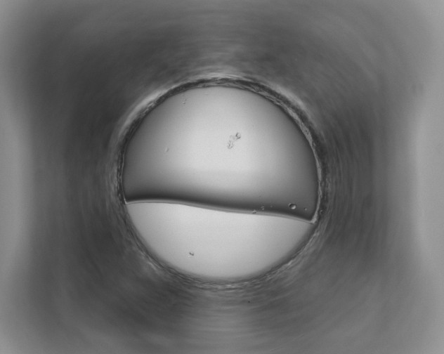 X0000111891359200907231439