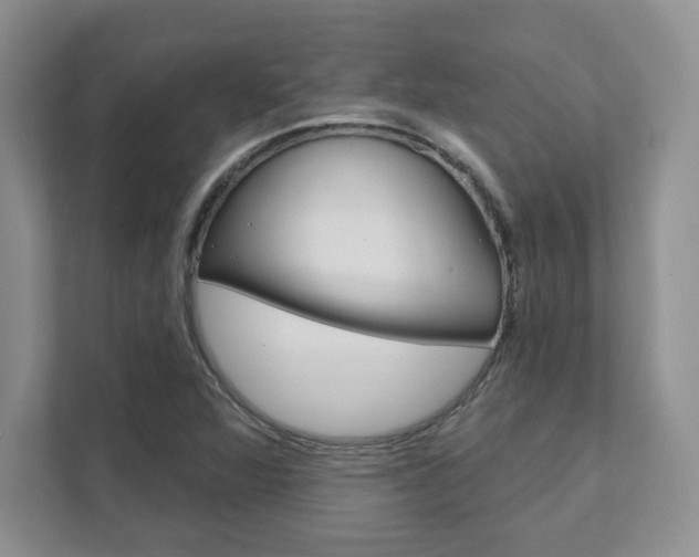 X0000111891360200907231439